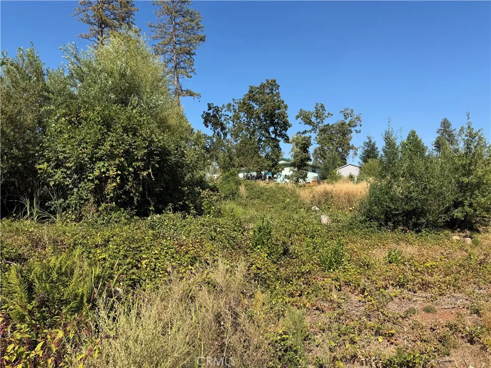 Demille Paradise, CA 95969