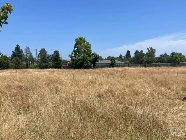 1231 Hwy 116 S Sebastopol, CA 95472
