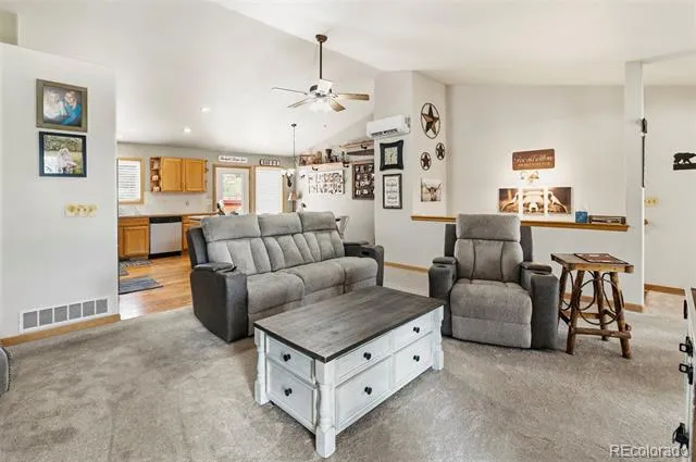 541 Beaver Trail Bailey, CO 80421