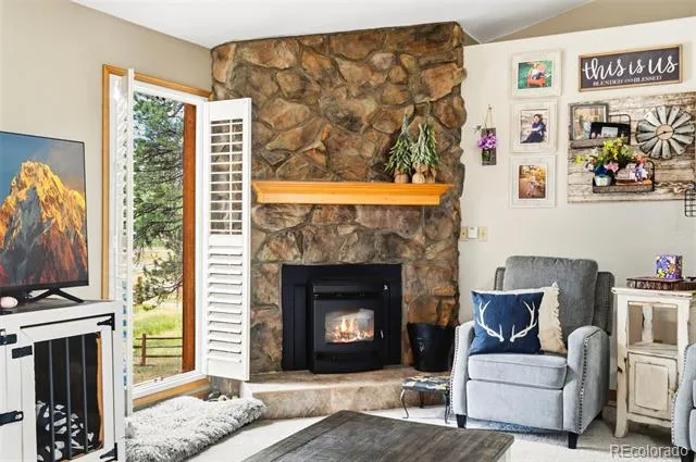 541 Beaver Trail Bailey, CO 80421