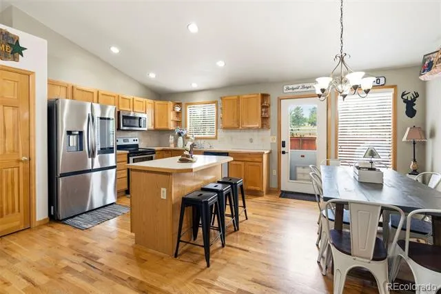 541 Beaver Trail Bailey, CO 80421