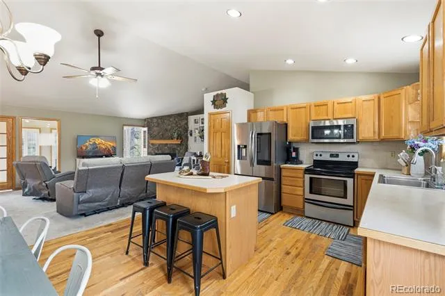 541 Beaver Trail Bailey, CO 80421
