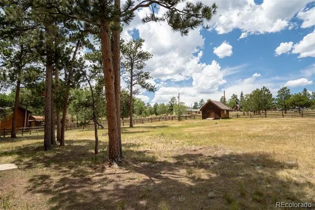541 Beaver Trail Bailey, CO 80421
