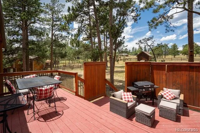 541 Beaver Trail Bailey, CO 80421