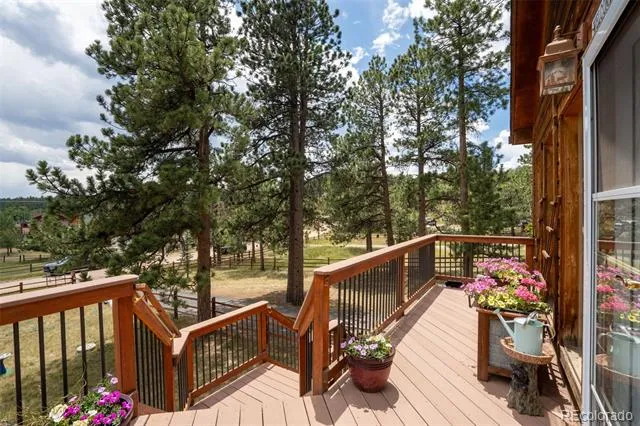 541 Beaver Trail Bailey, CO 80421