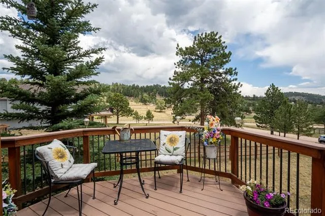 541 Beaver Trail Bailey, CO 80421