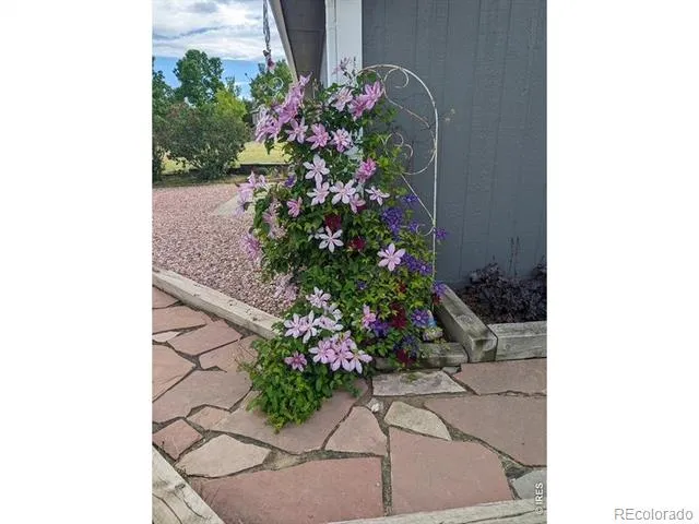20649 Staghorn Court Johnstown, CO 80534