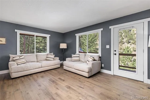130 Sly Fox Road Drake, CO 80515