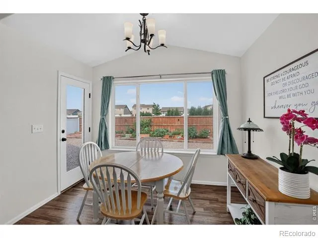 703 Cavern Street Severance, CO 80550