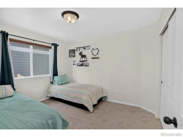 703 Cavern Street Severance, CO 80550