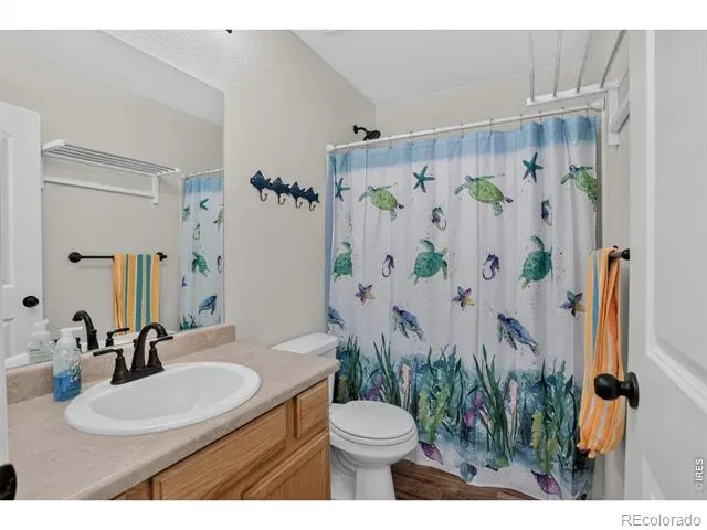 703 Cavern Street Severance, CO 80550