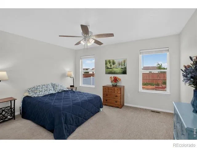 703 Cavern Street Severance, CO 80550