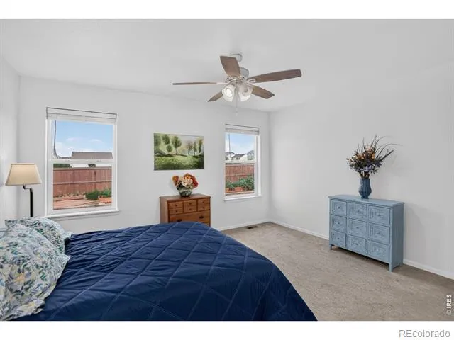 703 Cavern Street Severance, CO 80550