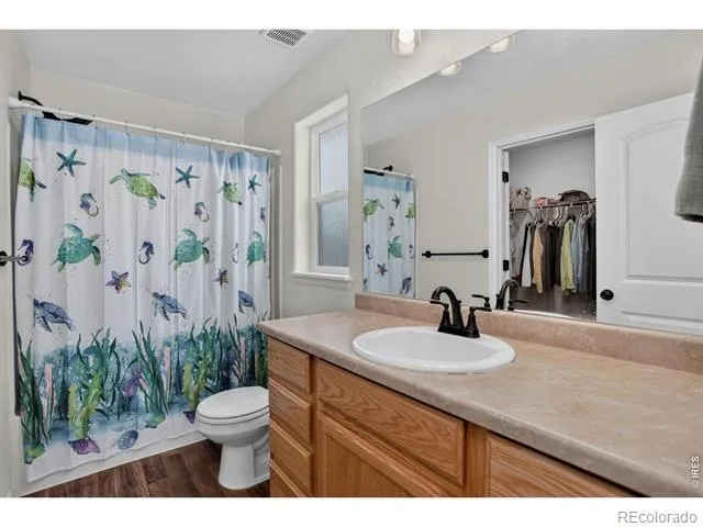 703 Cavern Street Severance, CO 80550