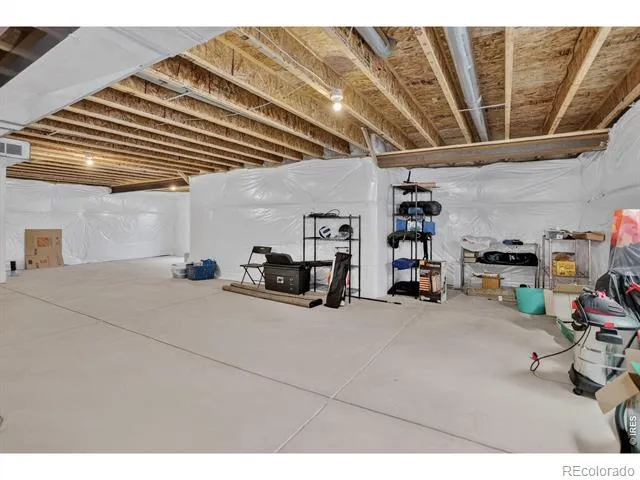 703 Cavern Street Severance, CO 80550