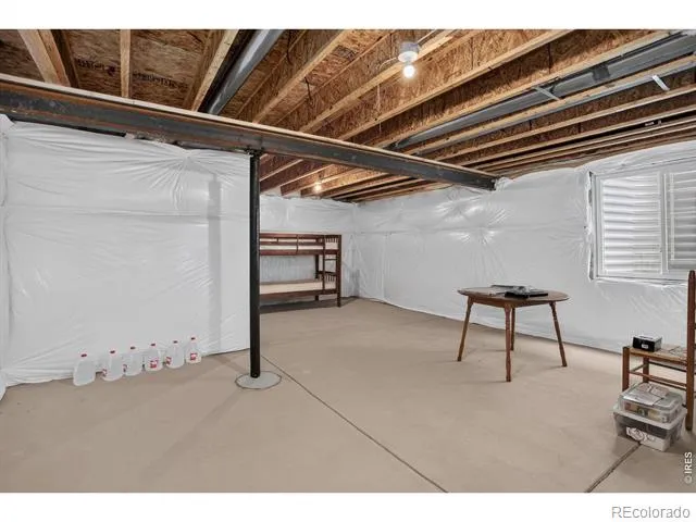 703 Cavern Street Severance, CO 80550