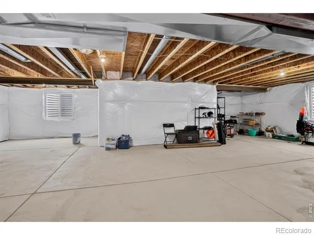 703 Cavern Street Severance, CO 80550