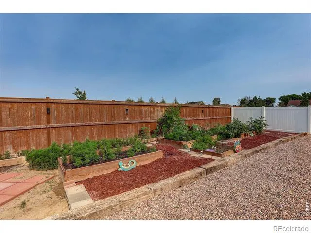 703 Cavern Street Severance, CO 80550