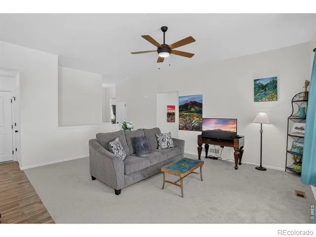 703 Cavern Street Severance, CO 80550