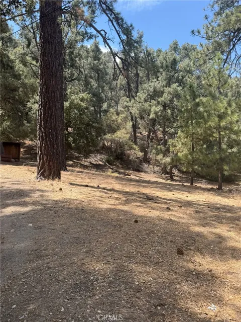 2019 Freeman