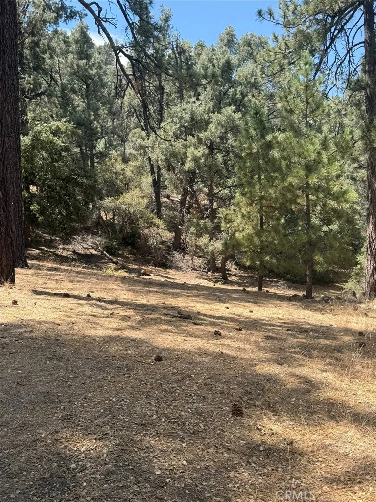 2019 Freeman Pine Mountain Club, CA 93222