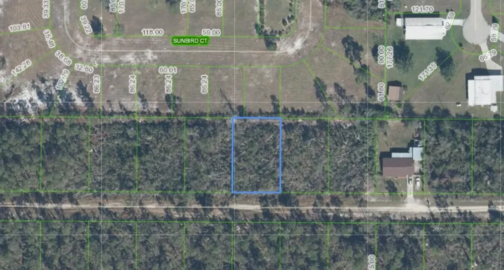 436 NIGHTINGALE AVENUE Sebring, FL 33870