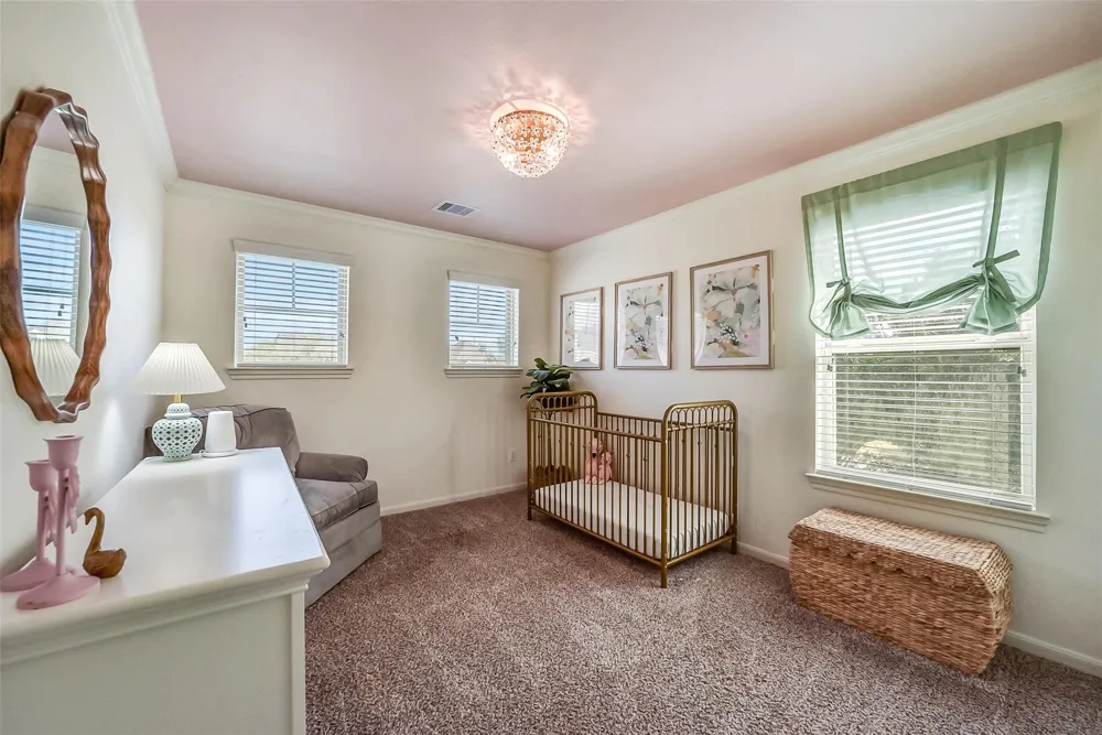 29111 Parker Trace Drive Fulshear, TX 77441