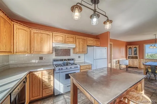 741 Wolfe Road Hartsel, CO 80449