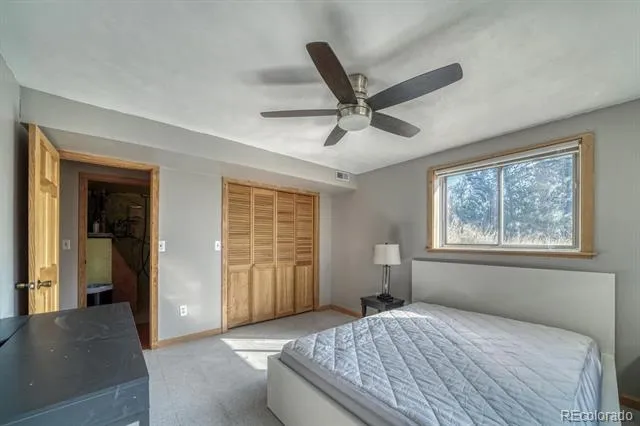 741 Wolfe Road Hartsel, CO 80449