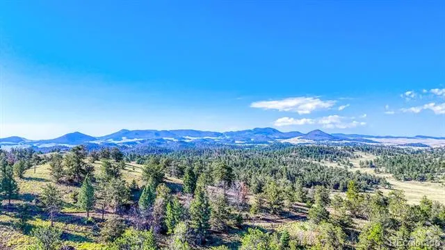 741 Wolfe Road Hartsel, CO 80449