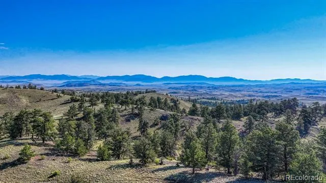 741 Wolfe Road Hartsel, CO 80449
