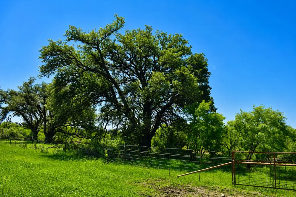 8228 US HWY 377 Rochelle, TX 76872