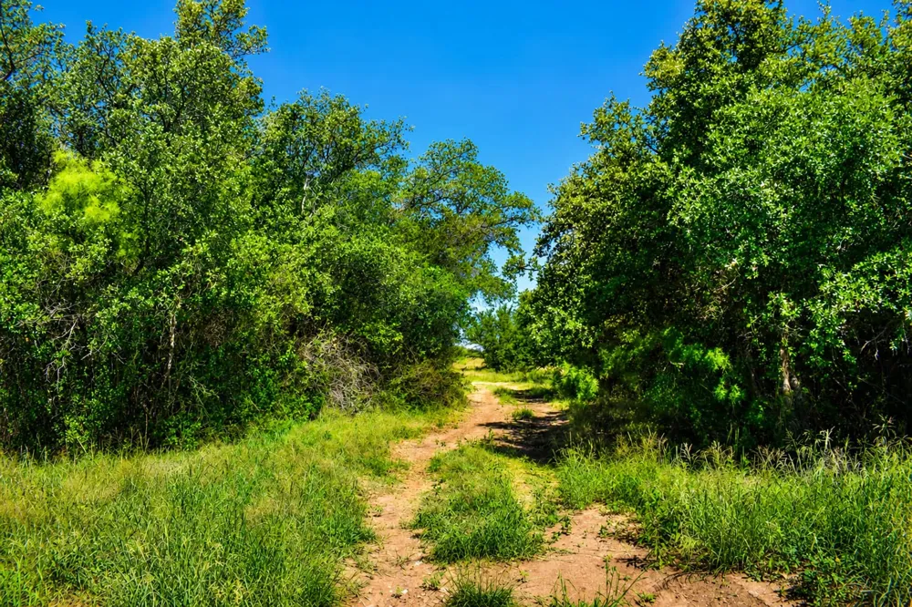 8228 US HWY 377 Rochelle, TX 76872