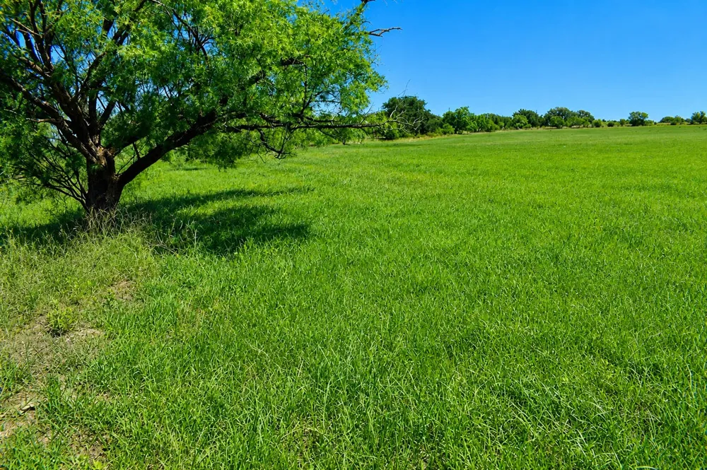 8228 US HWY 377 Rochelle, TX 76872