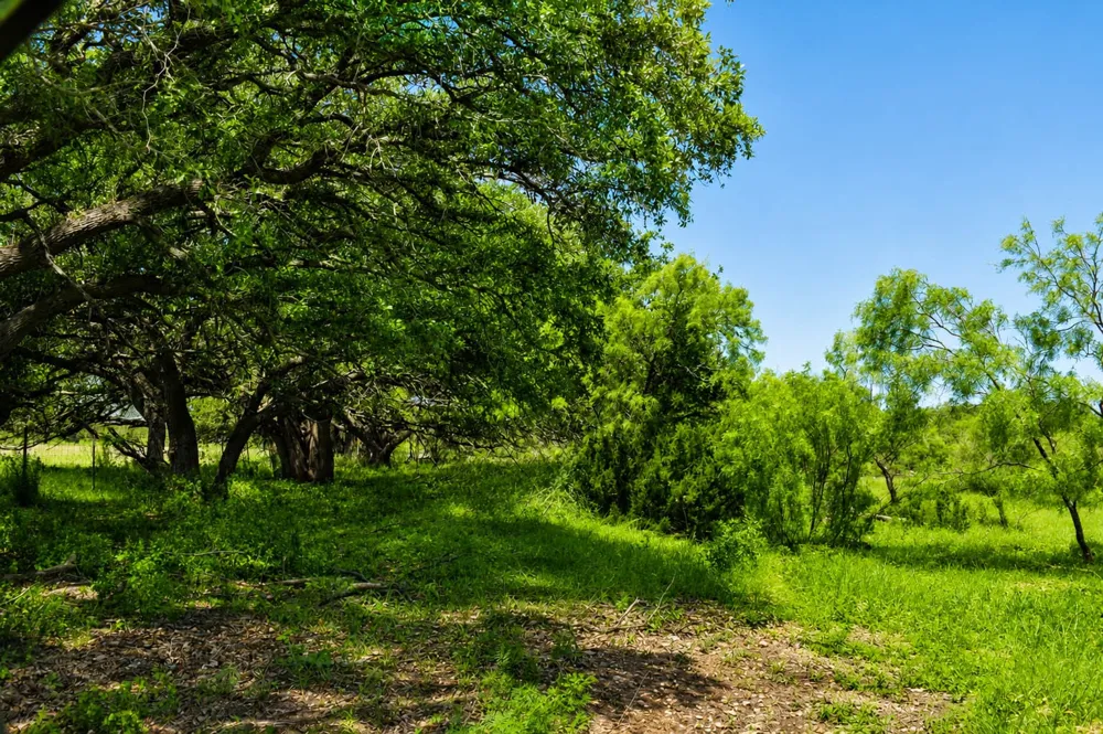 8228 US HWY 377 Rochelle, TX 76872