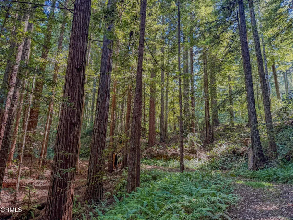California 20 Fort Bragg, CA 95437