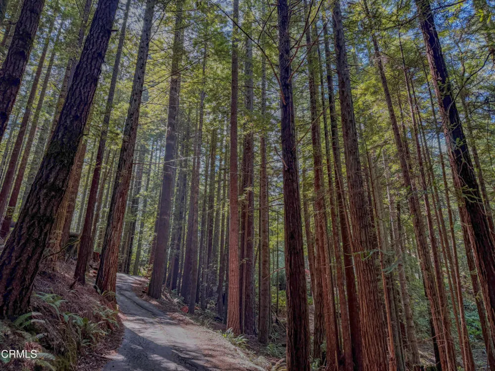 California 20 Fort Bragg, CA 95437