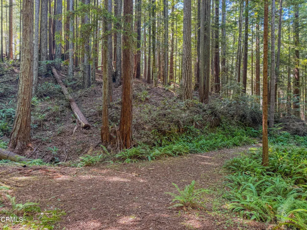 California 20 Fort Bragg, CA 95437