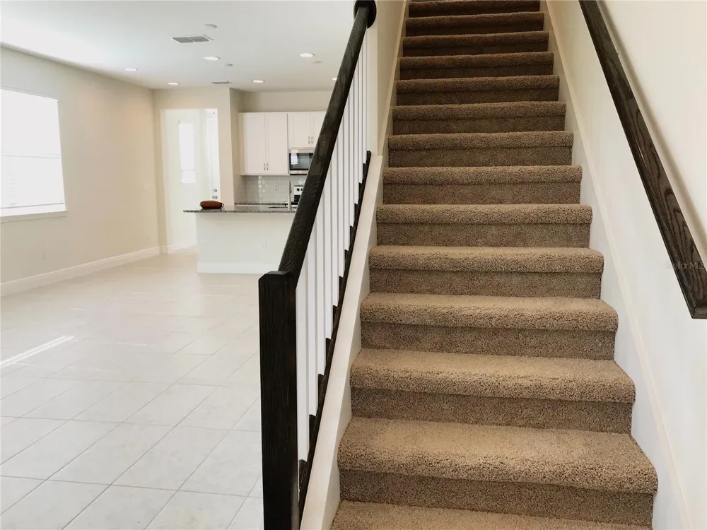5518 VIOLA LEE WAY Lutz, FL 33558