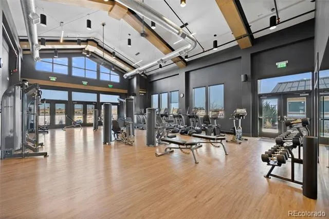5037 Quemoy Street Aurora, CO 80019