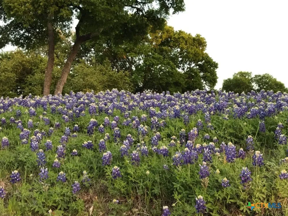 122 Passade New Braunfels, TX 78132