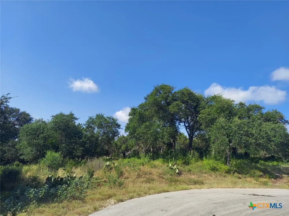 122 Passade New Braunfels, TX 78132