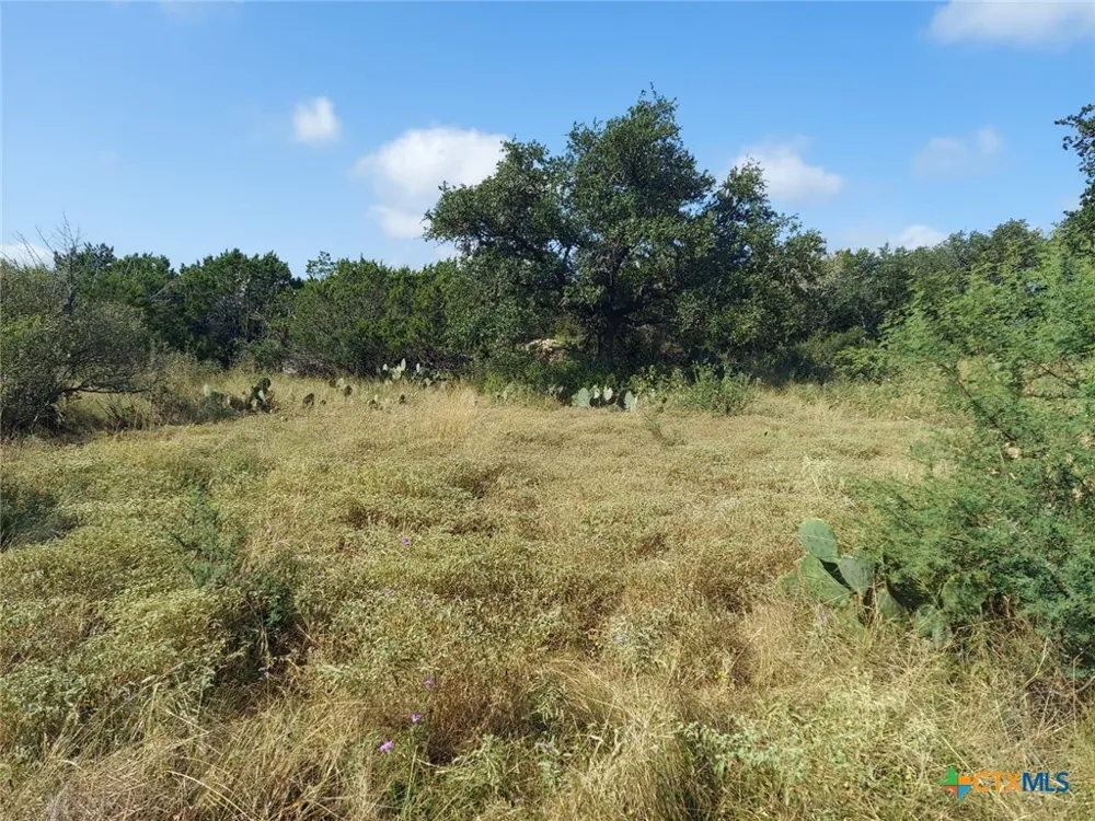 122 Passade New Braunfels, TX 78132