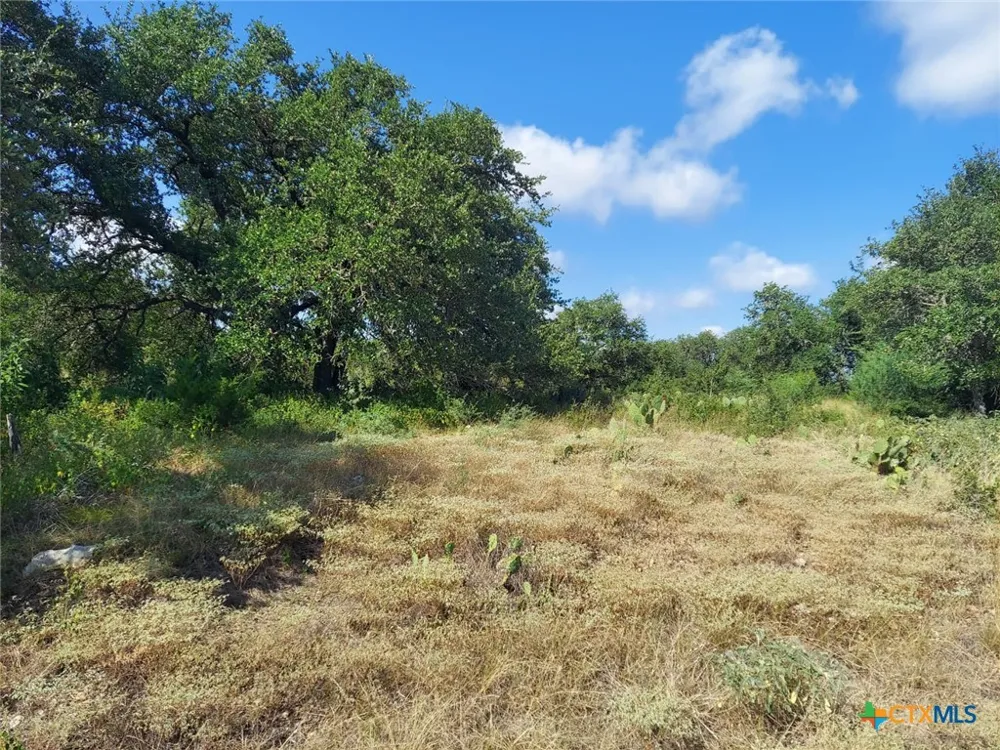 122 Passade New Braunfels, TX 78132