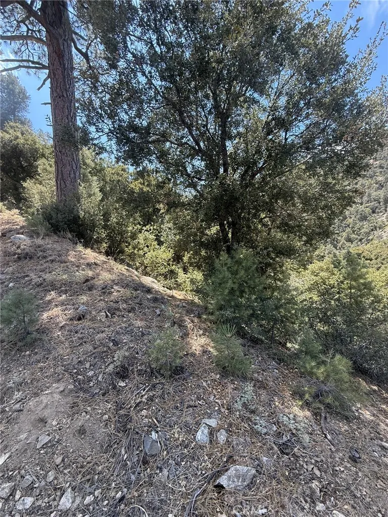 1525 Banff Pine Mountain Club, CA 93222