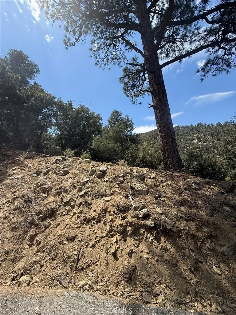 1525 Banff Pine Mountain Club, CA 93222