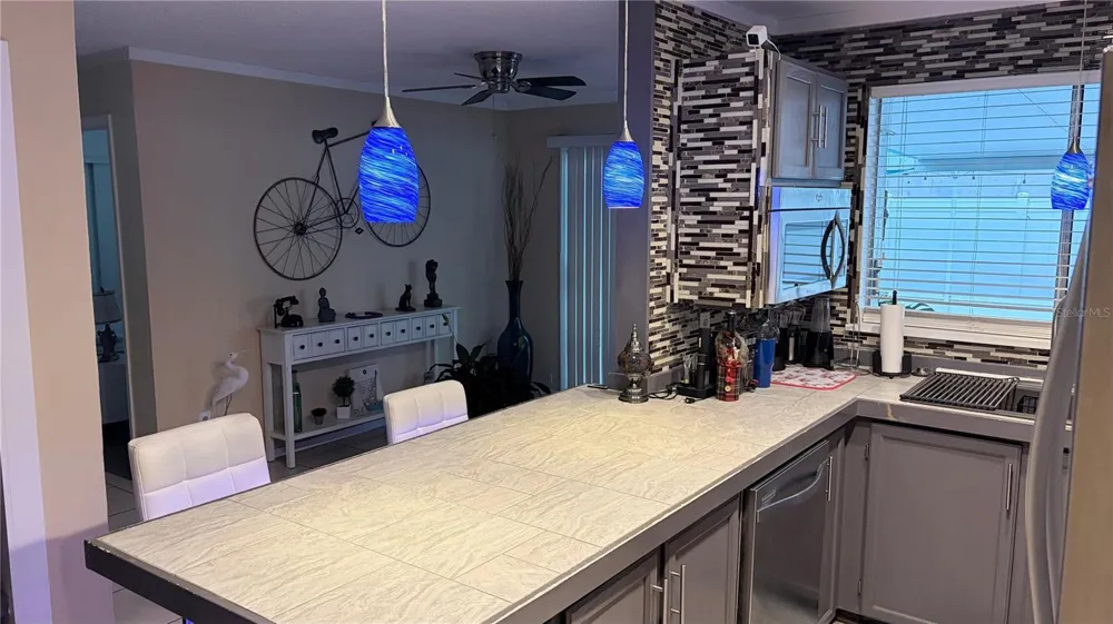 4142 YELLOWWOOD DRIVE Valrico, FL 33594