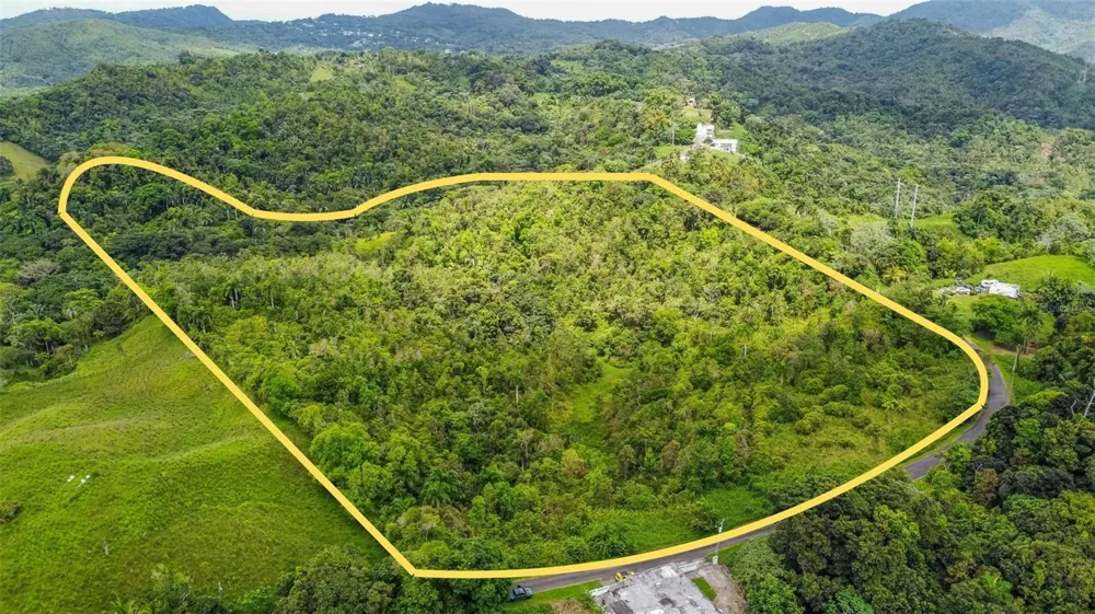 Address Not Shown Ceiba, PR 00735