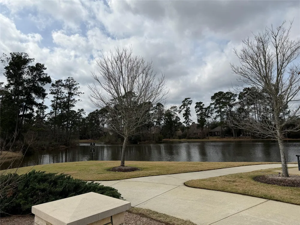 34 Danby Place The Woodlands, TX 77375