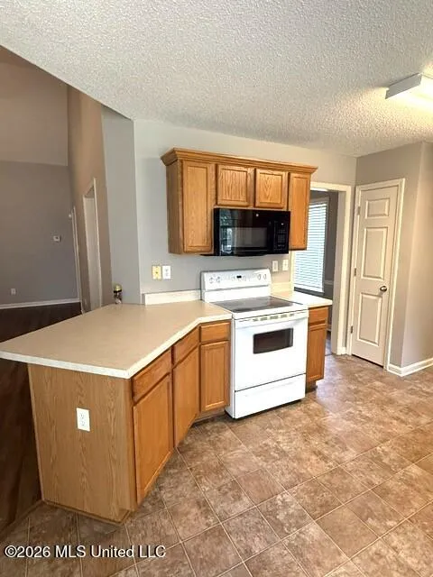 10636 Wyckford Drive Olive Branch, MS 38654